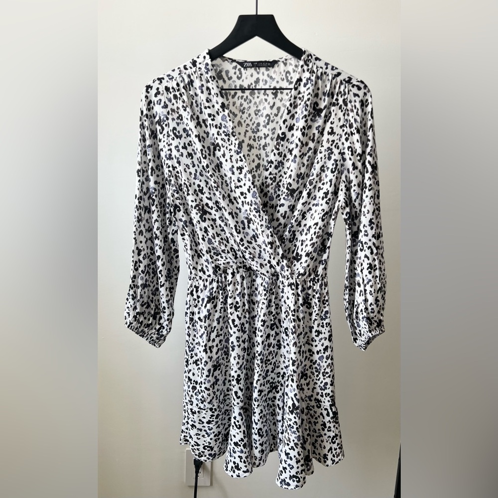 Zara Printed Mini Dress